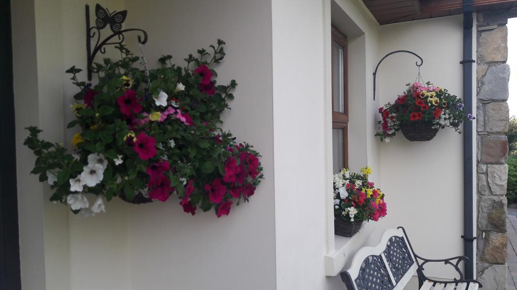 Atlantic Way B&B Grange  Exterior photo